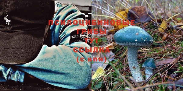 таблы Кулебаки