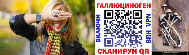 Купить где  Пермь  Галлюциногенные грибы MAGIC MUSHROOMS 