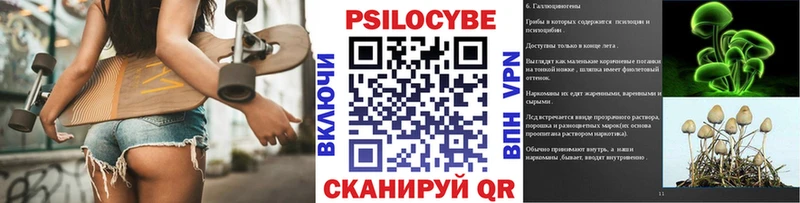 Псилоцибиновые грибы Psilocybe Пермь